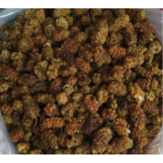 Kuru Dut 