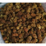 Kuru Dut 